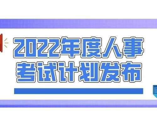 丰县最新爆料新闻网站,揭秘事件背后真相,追踪网络热议焦点